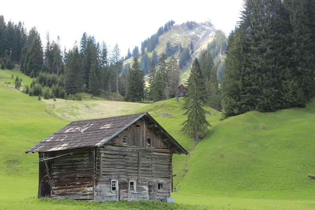 Alpenhotel Widderstein Миттелберг Экстерьер фото